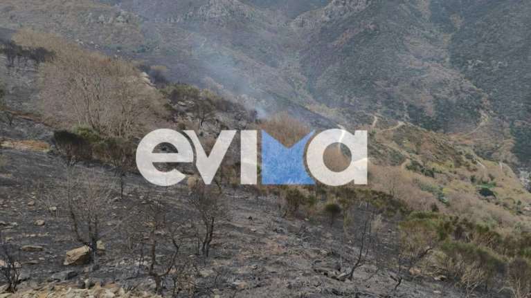 Υπό μερικό έλεγχο τέθηκε η πυρκαγιά στην Κάρυστο