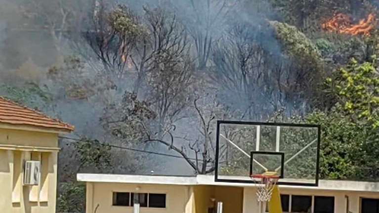 Φωτιά στο Βελεστίνο: Εκκενώθηκαν οικισμοί και βιομηχανική περιοχή - Κάηκαν σπίτια [βίντεο]