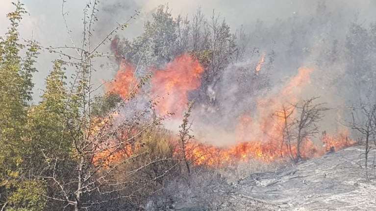 Ηράκλειο Κρήτης: Φωτιά στο δάσος της Κέρης - Μεγάλη επιχείρηση της Πυροσβεστικής