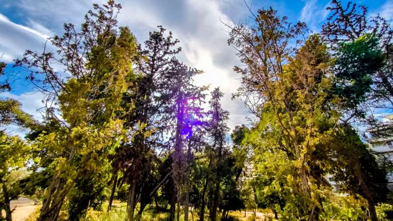 Καλοκαιρινός ο καιρός σήμερα: Άνοδος της θερμοκρασίας με τον υδράργυρο στους 29 βαθμούς - Πού θα βρέξει