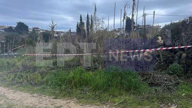 Τραγωδία στην Ηλεία: Νεκρός 27χρονος υλοτόμος– Καταπλακώθηκε από δέντρο