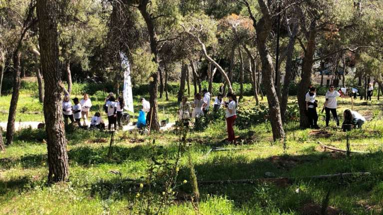 Συνεχείς δενδροφυτεύσεις σε Λυκαβηττό και Στρέφη πραγματοποιεί ο δήμος Αθηναίων [εικόνες]
