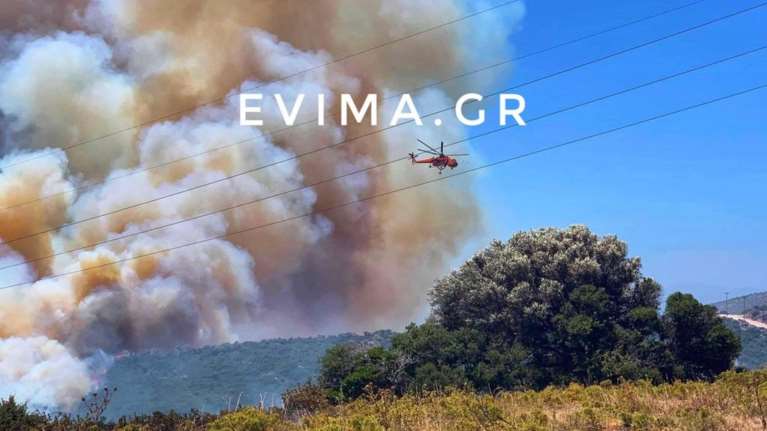 Συναγερμός στην Εύβοια: Ξέσπασαν δύο φωτιές στα Πολιτικά [εικόνες]