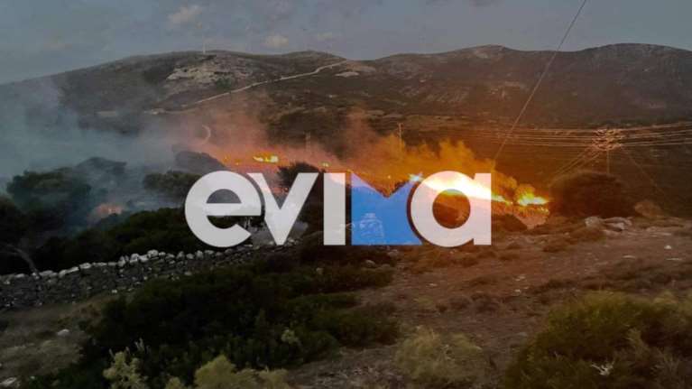 Εύβοια: Έσβησε η φωτιά που ξέσπασε στους Ραπταίους