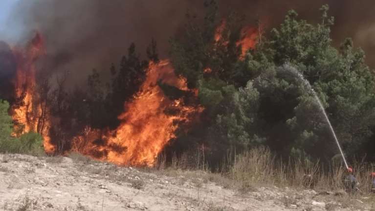 Έβρος: Μάχη για να σωθεί το δάσος της Δαδιάς - Aνοίγει ζώνες ο στρατός για να μην περάσει η φωτιά [εικόνες-βίντεο]