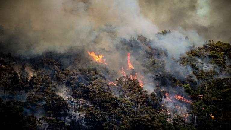 Φωτιά στη Ρόδο: Καυτός αέρας σηκώνει κάφτρες που δημιουργούν νέες εστίες - Έκκληση για βοήθεια στον Προφήτη Ηλία