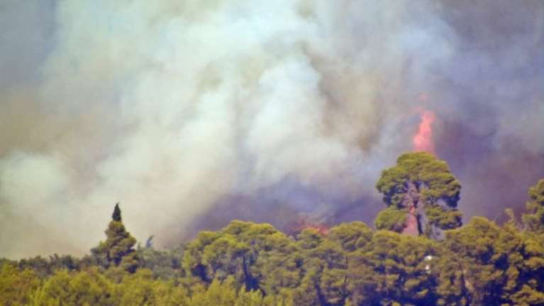 Φωτιά στα Κρέστενα Ηλείας: Ξυπνάνε εφιαλτικές μνήμες από το 2007: &quot;Το κακό έγινε σε δέκα λεπτά, όπως τότε&quot;