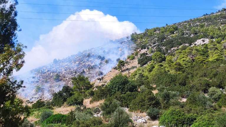 Φωτιά στη Νέα Μάκρη: Επιχειρούν εναέρια μέσα [βίντεο]