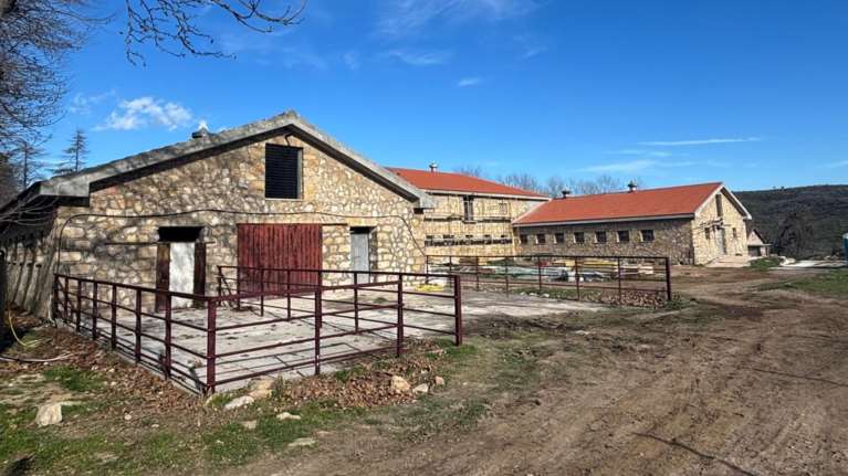 Βασιλικό κτήμα Τατοΐου: Αποκαλυπτήρια για το παλαιό Βουστάσιο - Έφτιαχναν κρασιά, βούτυρο και γάλα για τη βασιλική οικογένεια