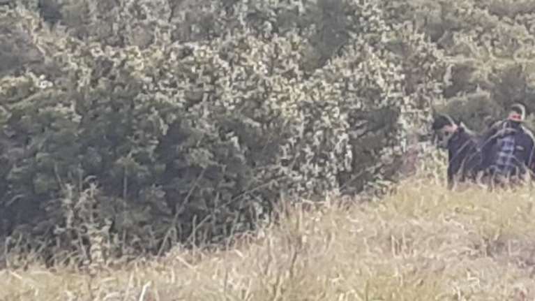 Έγκλημα στα Βίλια: 38χρονη Κινέζα η γυναίκα που βρέθηκε νεκρή μέσα σε βαλίτσα - Που στρέφει τις έρευνες η ΕΛΑΣ