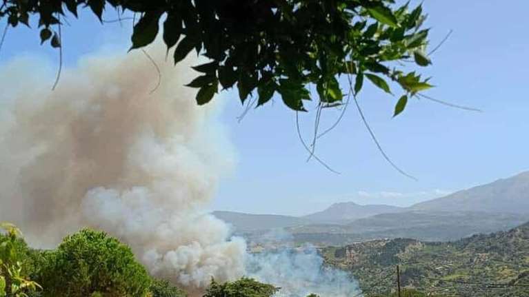 Καλαμάτα: Φωτιά σε καλαμιώνες στην περιοχή Αριοχωρίου [βίντεο]