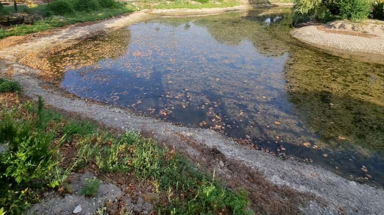 Βέλγιο: Ποδήλατα, χρηματοκιβώτια ακόμη και όπλα εντοπίστηκαν σε λίμνη στις Βρυξέλλες κατά τη διάρκεια καθαρισμού