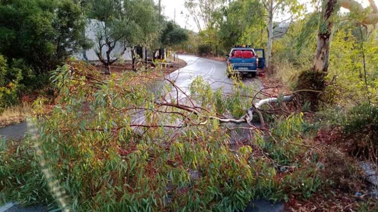 Σφοδρή χαλαζόπτωση σε Θεσσαλία και Ηπειρο: Πλημμύρισαν δρόμοι και καταστήματα [εικόνες - βίντεο]