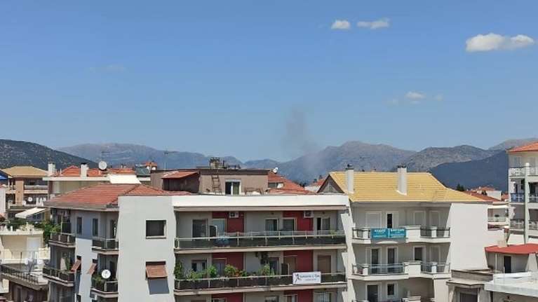 Φωτιά στη Νεστάνη Αρκαδίας: Επιτόπου 44 πυροσβέστες και 3 εναέρια μέσα