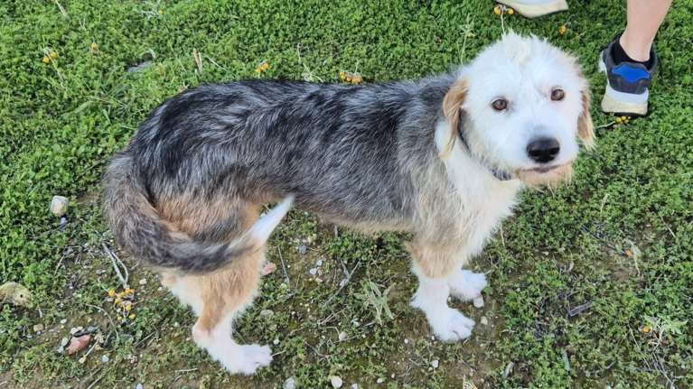 Η Αελίτα ζούσε σε μια από τις πιο δύσκολες περιοχές του Ασπροπύργου - Καλή χρονιά είπαμε;