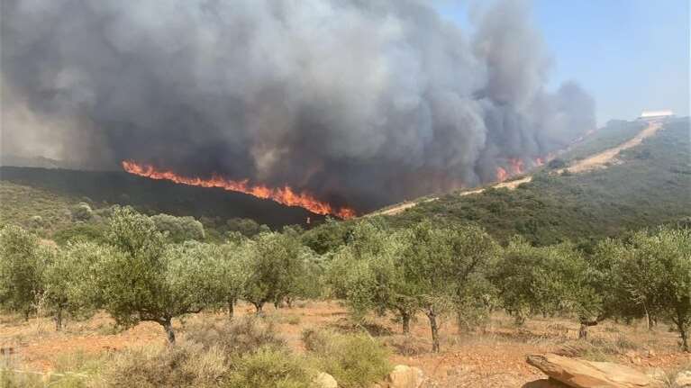 Φωτιά στη Λακωνία: Νέα αναζωπύρωση στο Πυρί - Μάχη με τον άνεμο
