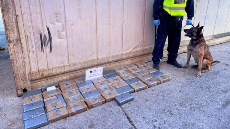 ΑΑΔΕ: Εντοπίστηκε και κατασχέθηκε ποσότητα κοκαΐνης αξίας 2,8 εκατ. ευρώ σε container με μπανάνες
