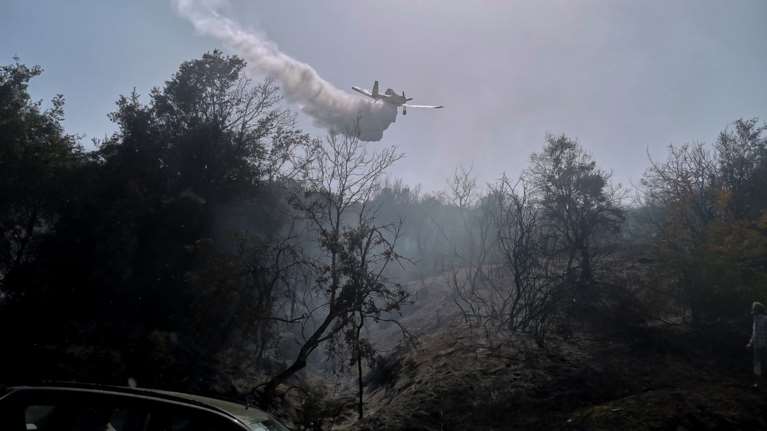 Μεγάλη φωτιά στον Αυλώνα - Επιχειρούν 2 αεροσκάφη και 4 ελικόπτερα