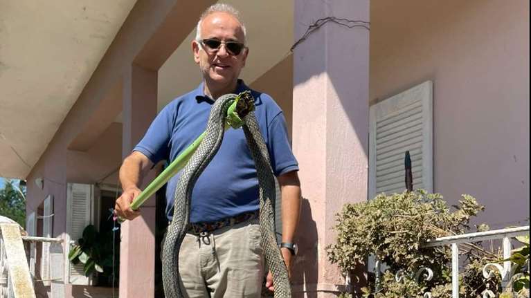 Καρδίτσα: Φίδι 2,5 μέτρων βγήκε μέσα από τα νερά στον Παλαμά [εικόνα]