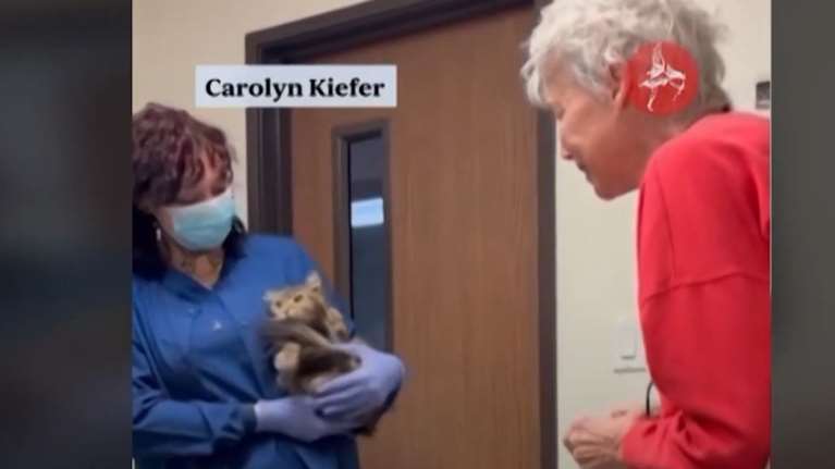 Η συγκινητική στιγμή που ηλικιωμένη βρίσκει τη γάτα της μετά από δύο μήνες - Νόμιζε ότι είχε χαθεί στις φωτιές του Λος Άντζελες