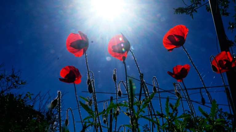 Καιρός: Με ισχυρούς ανέμους, διακυμάνσεις θερμοκρασίας και βροχές η Μεγάλη Εβδομάδα – Πώς θα ψήσουμε τον οβελία