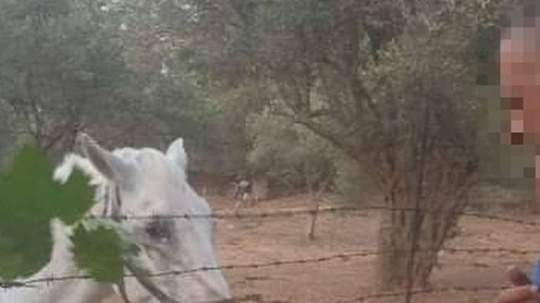 Βιασμός από αστυνομικό-Συγκλονίζουν οι γονείς της 14χρονης: &quot;Τη χτύπαγε, όταν πήγε προπόνηση της έδεσε τα χέρια στην πλάτη&quot;