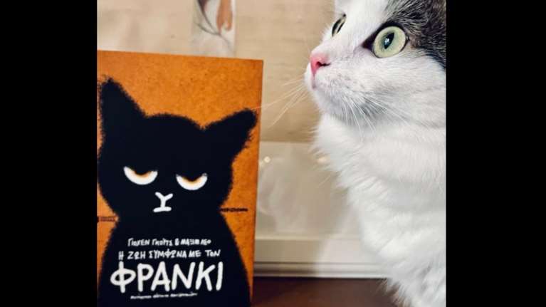 &quot;Η ζωή σύμφωνα με τον Φράνκι&quot; - Η συγκινητική ιστορία μιας αναπάντεχης φιλίας μεταξύ ενός γάτου σε αναζήτηση στέγης κι ενός ανθρώπου που βρίσκει τη θέλησή του για ζωή