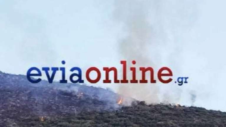 Φωτιά στο Αλιβέρι: Καλύτερη η εικόνα της πυρκαγιάς χάρη στα εναέρια μέσα - Συνέλαβαν 75χρονο που "κάπνιζε" μελίσσια