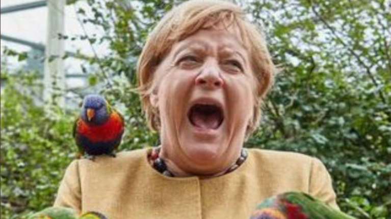 Επίθεση παπαγάλων στην Άνγκελα Μέρκελ: Την περικύκλωσαν και τη δάγκωσαν [εικόνες]