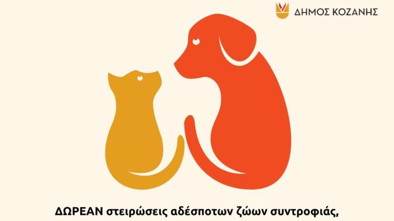 Κοζάνη: Δωρεάν στειρώσεις αδέσποτων και δεσποζόμενων ζώων ευπαθών ομάδων αλλά και ποιμενικών σκύλων