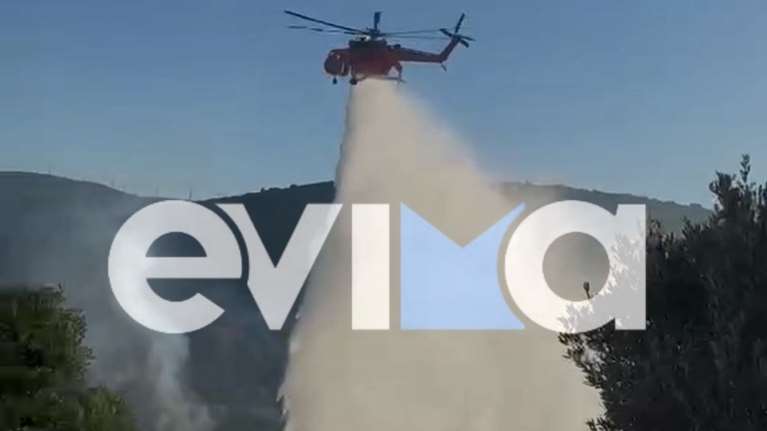 Εύβοια: Μαρτυρία για το πώς ξεκίνησε η μεγάλη φωτιά  - Συνεχείς αναζωπυρώσεις από τους ισχυρούς ανέμους