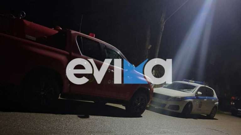 Μυστήριο με το νεκρό ζευγάρι ηλικιωμένων στα Ψαχνά Ευβοίας: Βρέθηκε δοχείο με καύσιμο κοντά στις σορούς τους