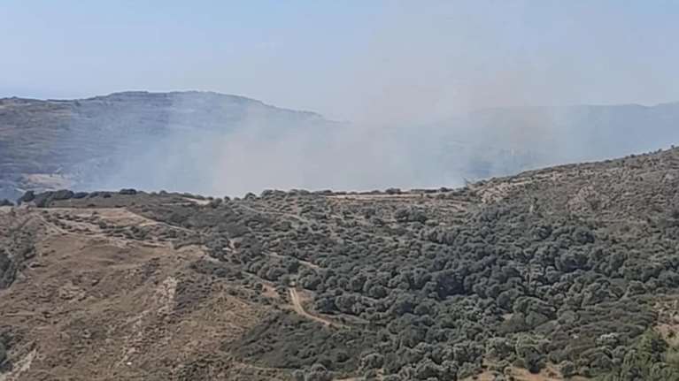 Μυτιλήνη: Υπό έλεγχο η φωτιά στην περιοχή Αυλώνα