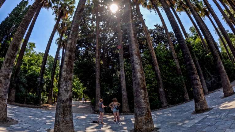Αυξημένα μέτρα ασφαλείας λόγω ισχυρών ανέμων - Έκλεισε ο Εθνικός Κήπος