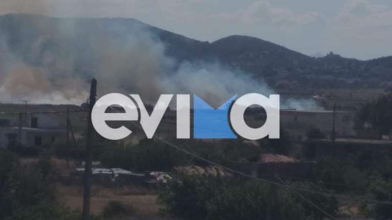 Φωτιά στην Εύβοια: Πυρκαγιά στα Κριεζά κοντά σε σπίτια [Εικόνες]