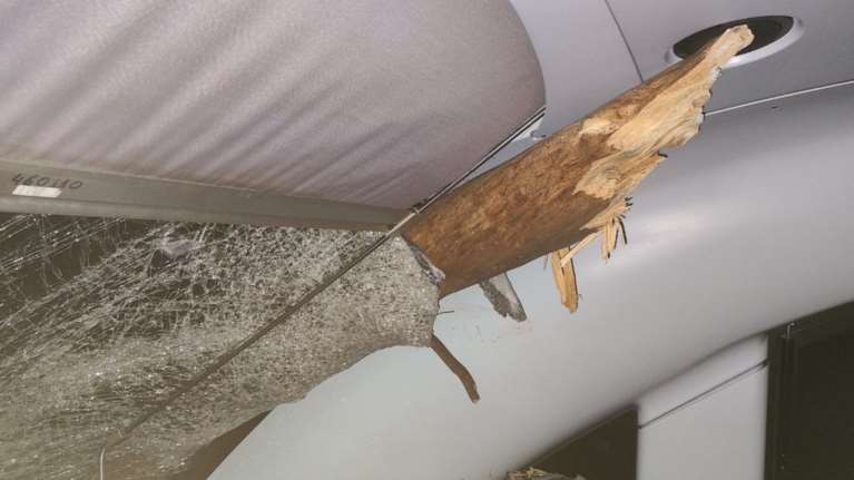 Το δέντρο μπήκε στην καμπίνα του μηχανοδηγού - Σοκαριστικές εικόνες από το ατύχημα με τρένο στις Αφίδνες