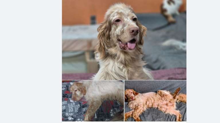 Ο Ντρέικ βρέθηκε τυχαία στη λεωφόρο ΝATO στην κυριολεξία να σέρνεται...