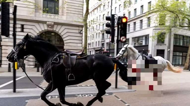 Αναστάτωση στο Λονδίνο: Άλογα έτρεχαν λυτά σε κεντρικούς δρόμους - Το ένα καλυμμένο με αίμα [βίντεο]