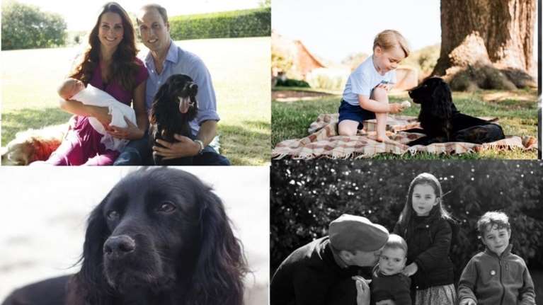 Οι τετράποδοι φίλοι των βασιλικών οικογενειών: Aπό τα corgi της Ελισάβετ μέχρι τα κόκερ σπάνιελ του Ουίλιαμ και της Κέιτ