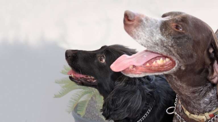 Στις γιορτές δεν καλούν, ανοίγεις την πόρτα, τα φώτα και την αγκαλιά σου