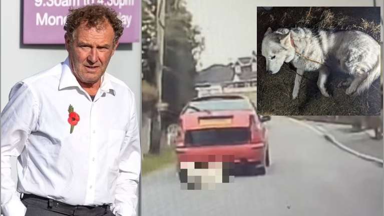 Οργή στην Αγγλία για τον κτηνοτρόφο που έσυρε μέχρι θανάτου με το αυτοκίνητό του το χάσκι του - Του επιβλήθηκε ποινή χάδι