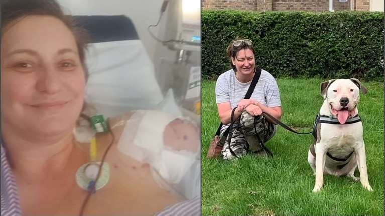 Εφιάλτης για Βρετανίδα: Πήρε μπουλντόγκ από καταφύγιο, αλλά της έφαγε το χέρι - Είχε επιτεθεί σε άλλες δύο γυναίκες