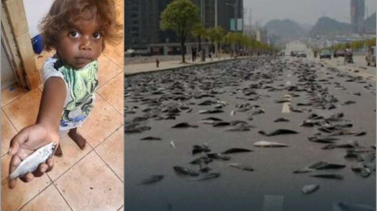 Έβρεξε... ψάρια στην Αυστραλία: Το σπάνιο καιρικό φαινόμενο στην έρημο [εικόνες]