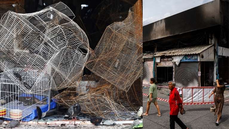 Απίστευτη φρίκη στην Μπανγκόκ: 1.000 εξωτικά ζώα, ερπετά και κατοικίδια κάηκαν μέσα στα κλουβιά τους σε κεντρική αγορά