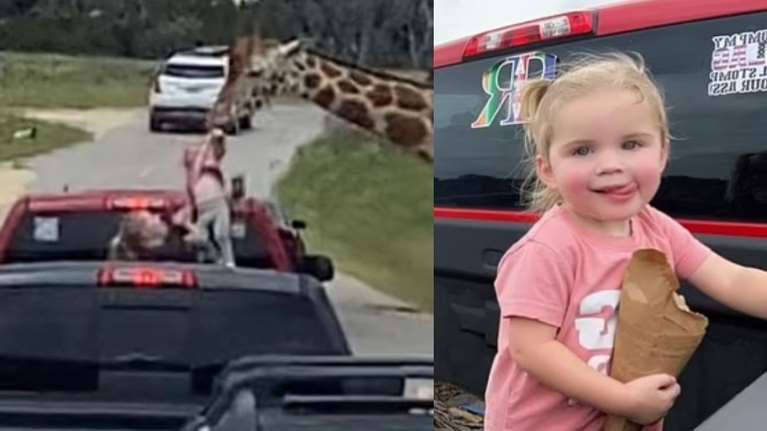 Λαίμαργη καμηλοπάρδαλη... άρπαξε κοριτσάκι 2 ετών μαζί με το φαγητό της - Απίστευτο περιστατικό [βίντεο]