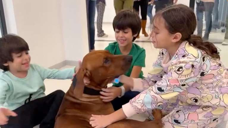 Τους υποδέχθηκε ο καλύτερός τους φίλος: Τρία αδελφάκια, όμηροι της Χαμάς επί 51 μέρες παίζουν ξανά με τον σκύλο τους