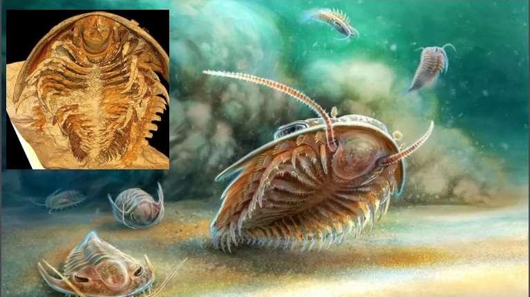 Εκπληκτική ανακάλυψη: Τι είναι &quot;οι Τριλοβίτες της Πομπηίας&quot; που βρήκαν οι επιστήμονες - Γιατί είναι τόσο σημαντικοί