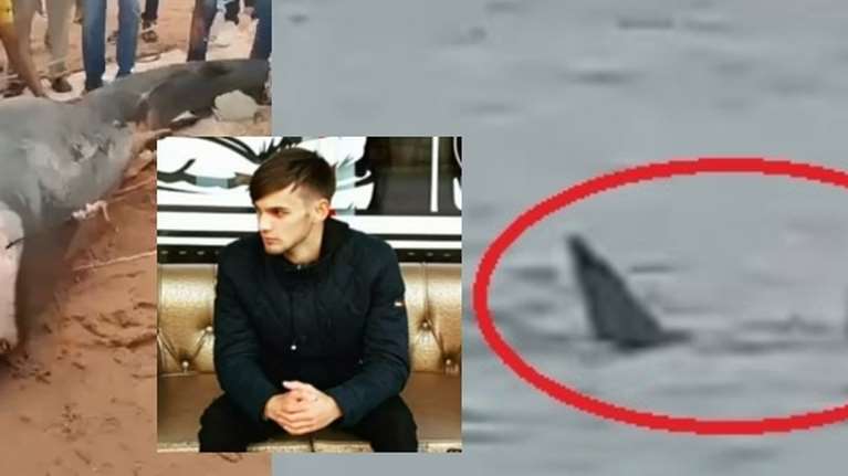 Ανατριχιαστικά εύρηματα στο στομάχι του θηλυκού καρχαρία που κατασπάραξε 23χρονο: Βρήκαν κεφάλι, στέρνο και χέρια