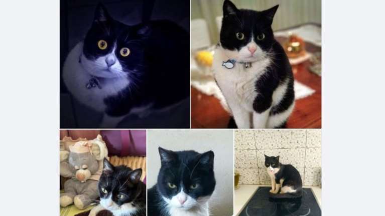 Η Νανά Παλαιτσάκη αποχαιρετά τον Νυχτούλη της: Mάς έμαθε ότι όταν υπάρχει αγάπη, οι κόσμοι ενώνονται