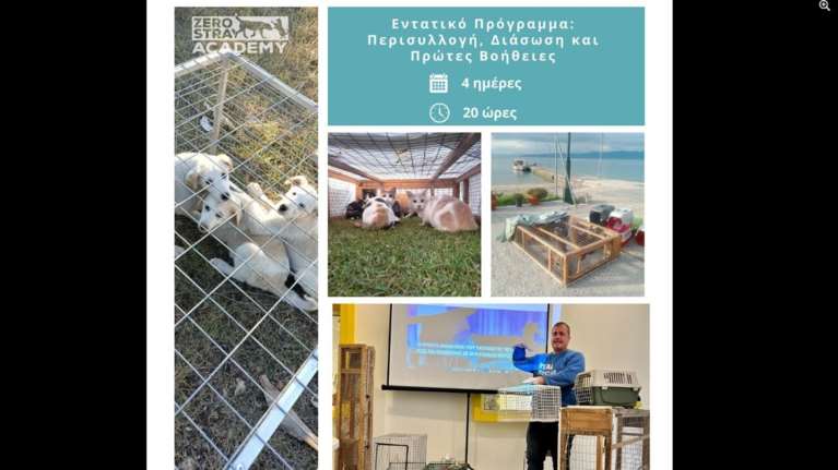 Zero Stray Academy: Εκπαιδευτικό Πρόγραμμα για την Περισυλλογή, Διάσωση και Πρώτες Βοήθειες αδέσποτων ζώων